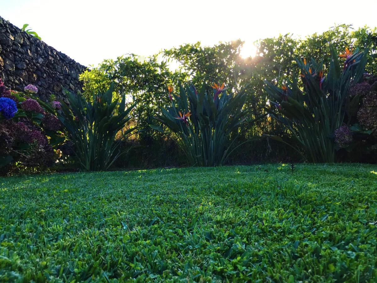 Surf Beach_Santa Barbara Secret Gardens Ribeira Grande Esterno foto